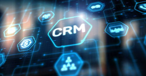 crm erp mis