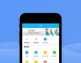 专业app定制开发