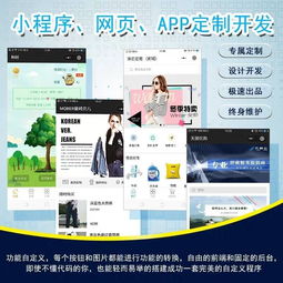厦门软件开发外包小程序app软件外包开发定制2019年解决方案